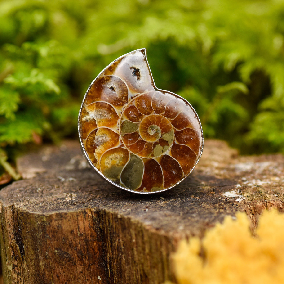 silberner Ring mit einer Ammonit-Schnecke auf Holz, Heilsteine, alternative Methoden