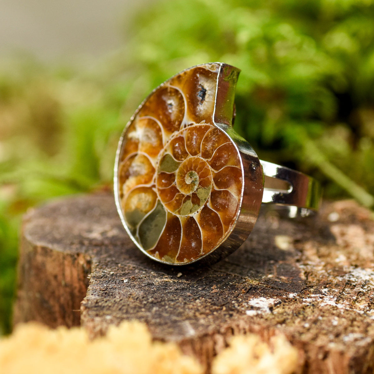 silberner Ring mit einer Ammonit-Schnecke auf Holz, Heilsteine, alternative Methoden