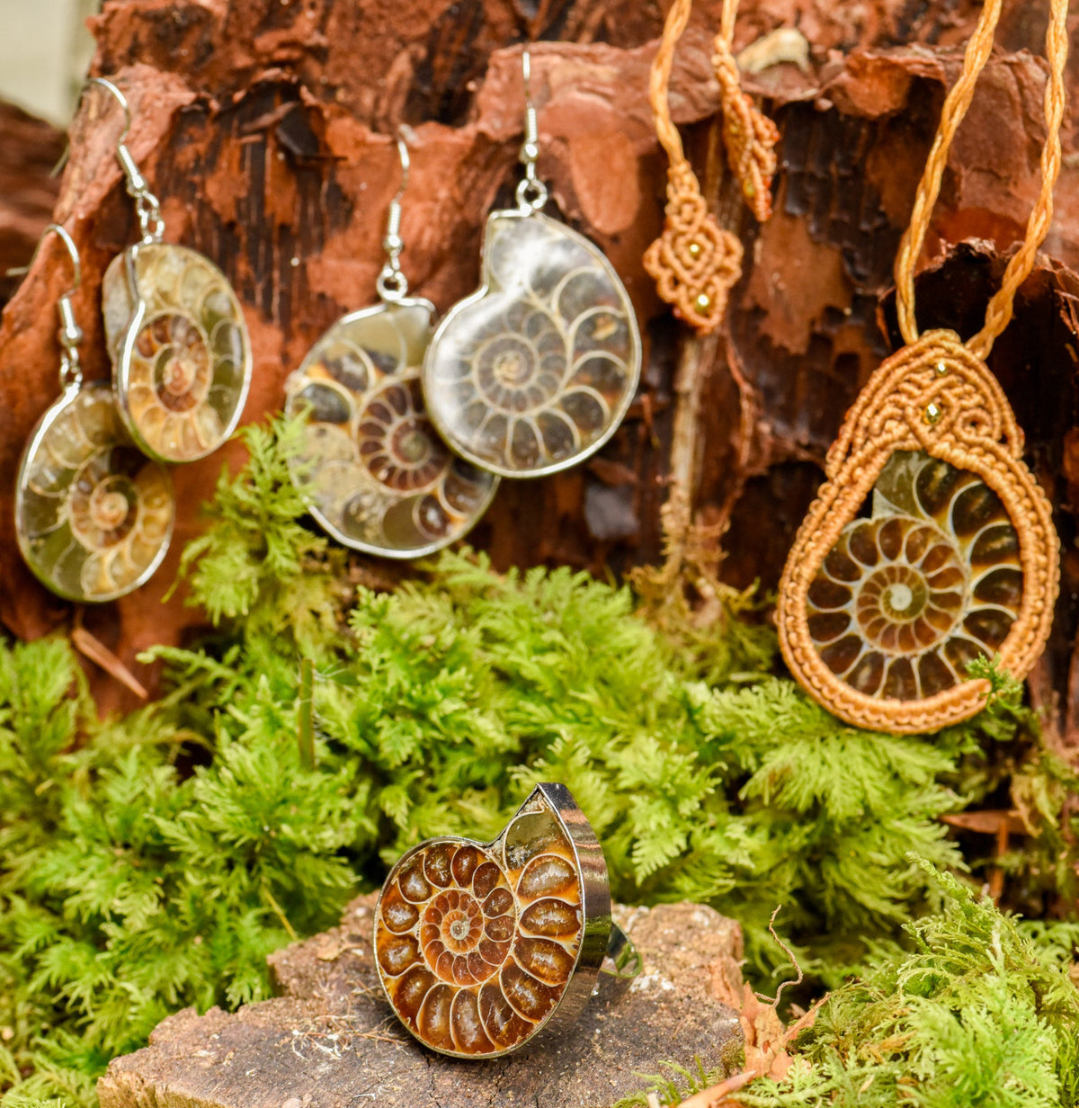 Ring, Kette und Ohrringe mit einer Ammonit-Schnecke auf Holz, Heilsteine, alternative Methoden