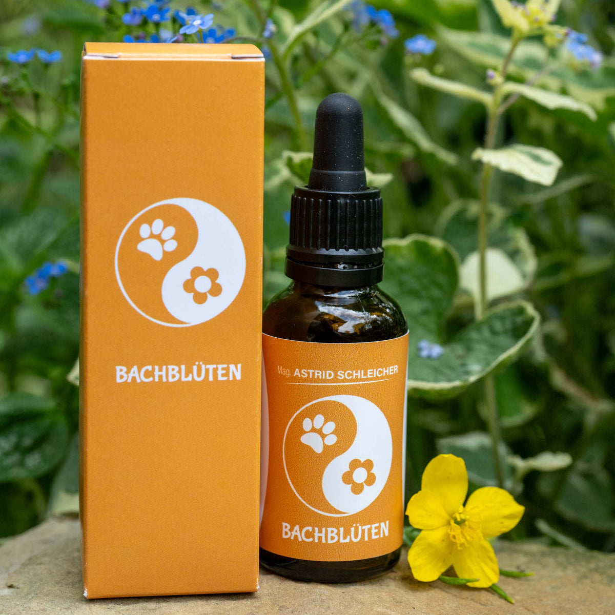 Bachblüten, Blütenmischung, Energiesystem, Selbstheilungskräfte, alternative Methoden