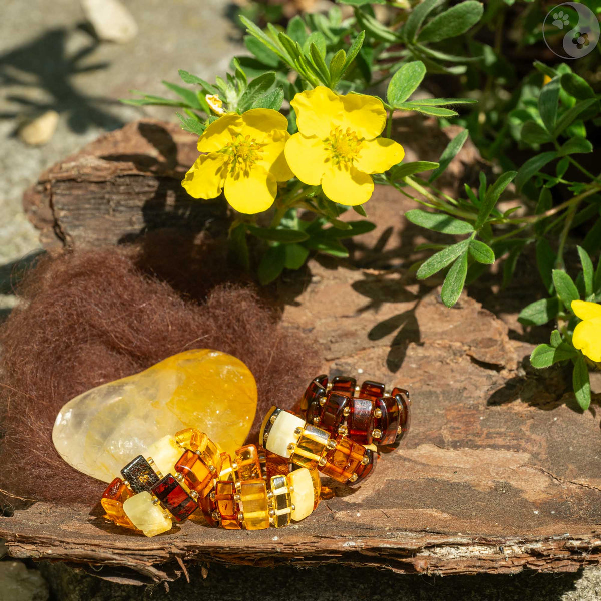 Bernsteinring, braun, Heilsteine, Hautprobleme, Allergien, Neurodermitis alternative Methoden