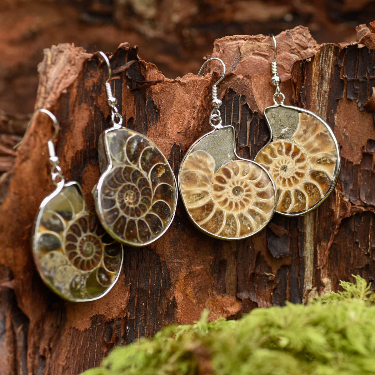 Ohrringe, Haken mit Ammonit Schnecke, silbern eingefasst, alternative Methoden, Steinschmuck