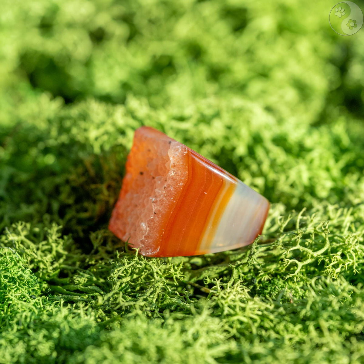 Stein-Ring mit weißem Top auf Moosbett, Heilstein-Schmuck, alternative Methoden