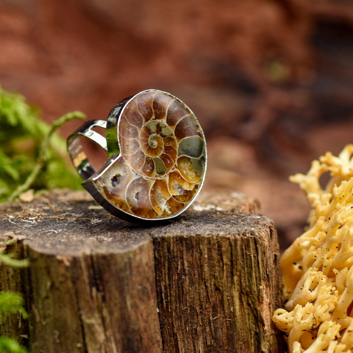 silberner Ring mit einer Ammonit-Schnecke auf Holz, Heilsteine, alternative Methoden