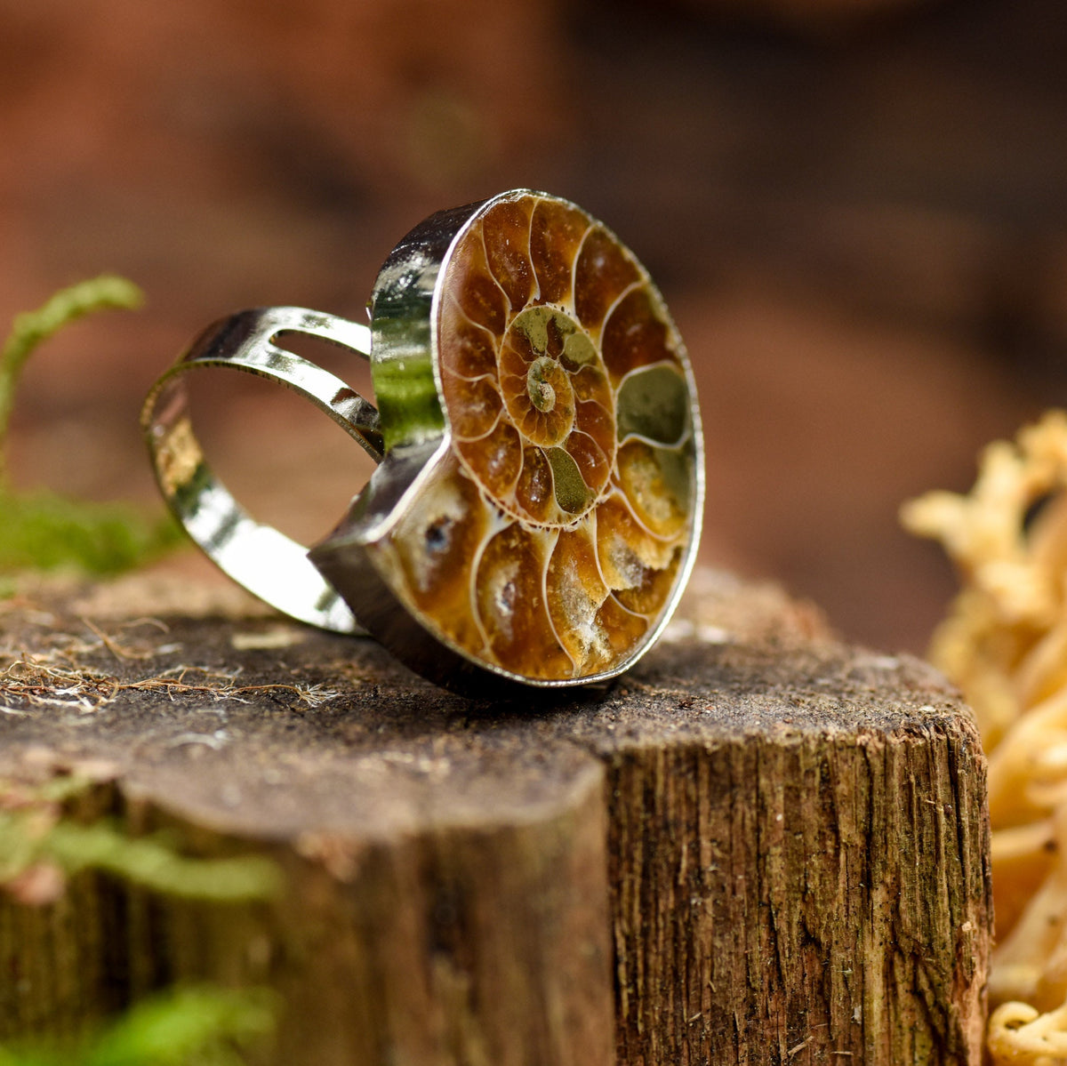 silberner Ring mit einer Ammonit-Schnecke auf Holz, Heilsteine, alternative Methoden