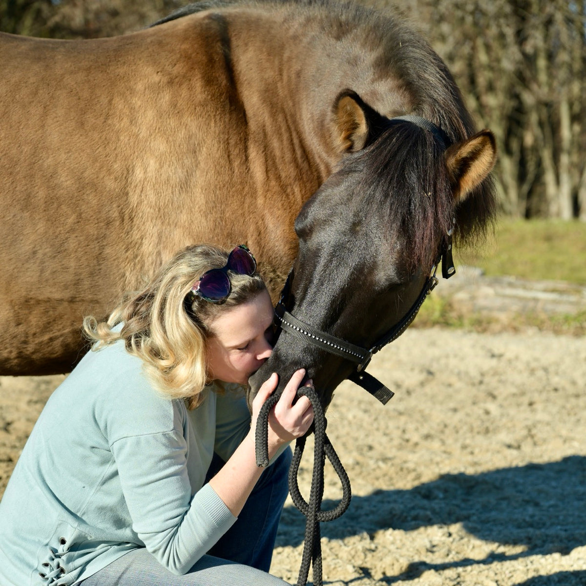 Frau hockt neben einem braunen Pferd, das Pferd strckt seinen Kopf zu ihr und sie küsst es auf die Nase