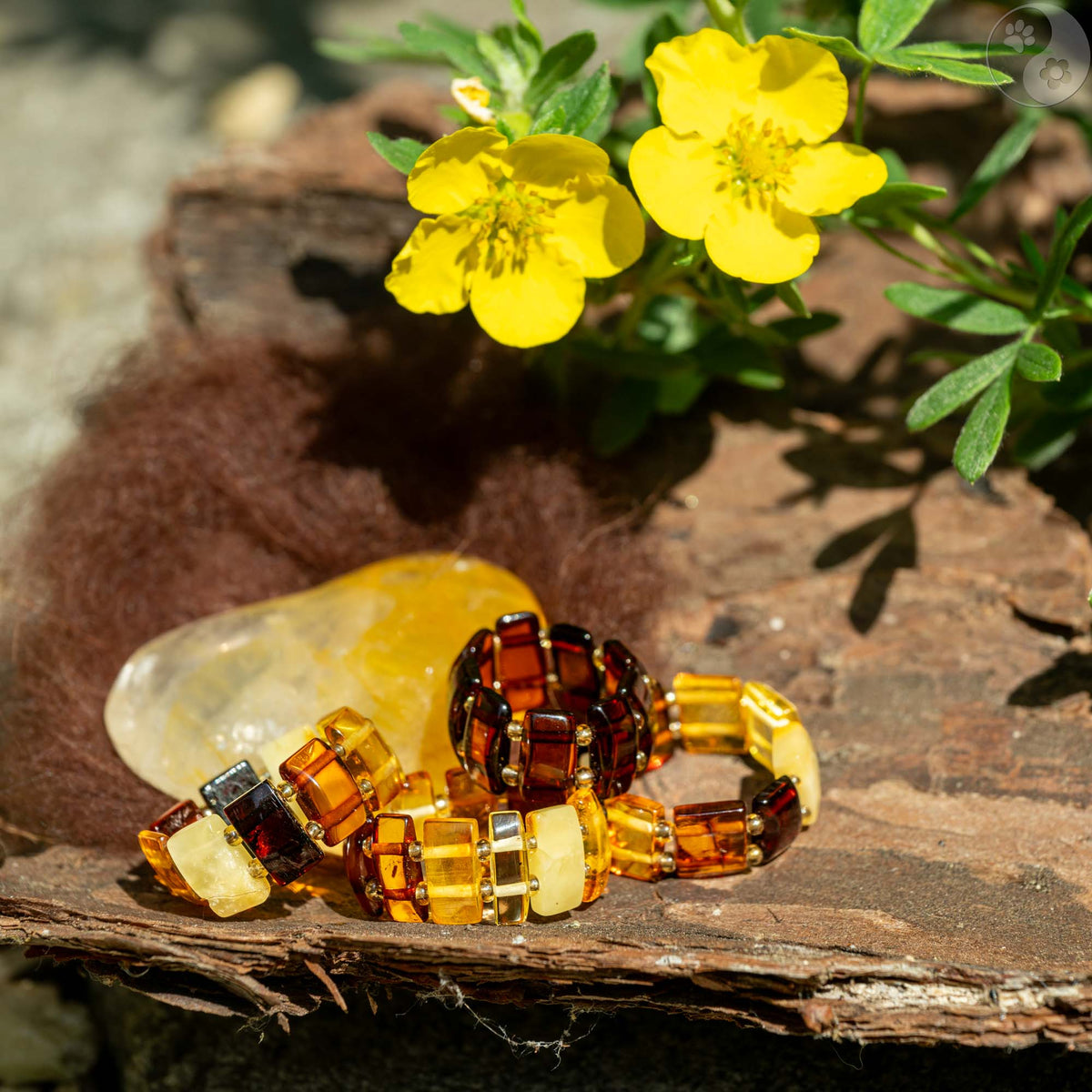 Bernsteinring, braun, Heilsteine, Hautprobleme, Allergien, Neurodermitis alternative Methoden