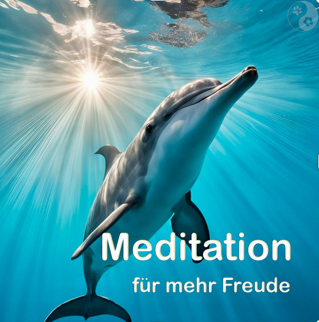 Delfin Meditation Lebensfreude bei Jugendlichen