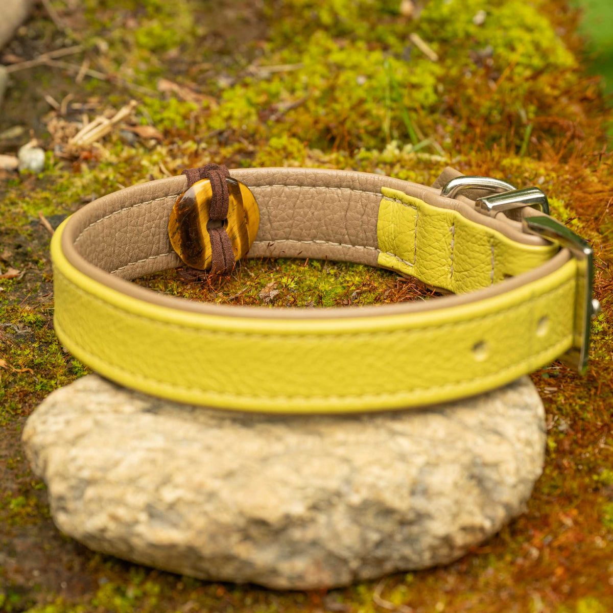 Heilstein am Hunde Halsband