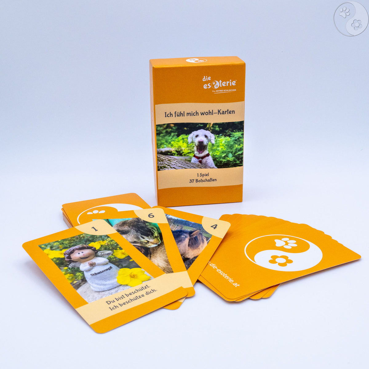 Spielkarten, Tiere, Botschaften, Kinder, alternative Methoden