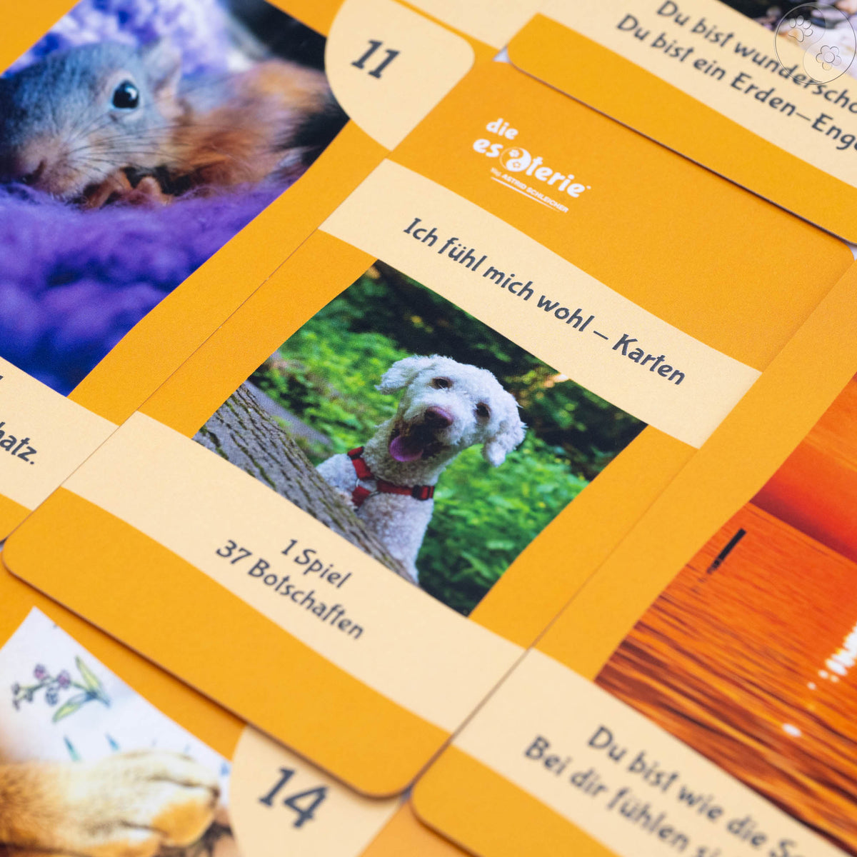 Spielkarten, Tiere, Botschaften, Kinder, alternative Methoden