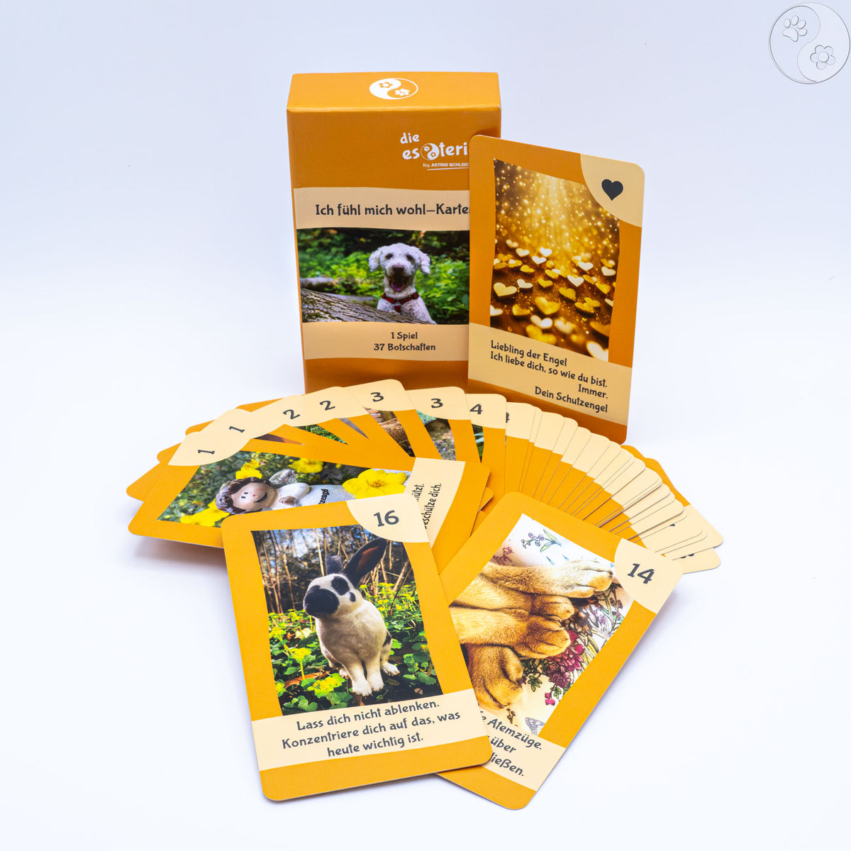 Spielkarten, Tiere, Botschaften, Kinder, alternative Methoden