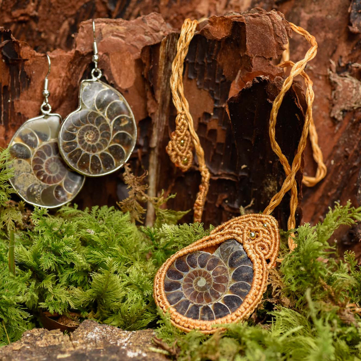 Heilstein, Schmuck, braune geflochtene Kette mit Ammonit, alternative Methoden