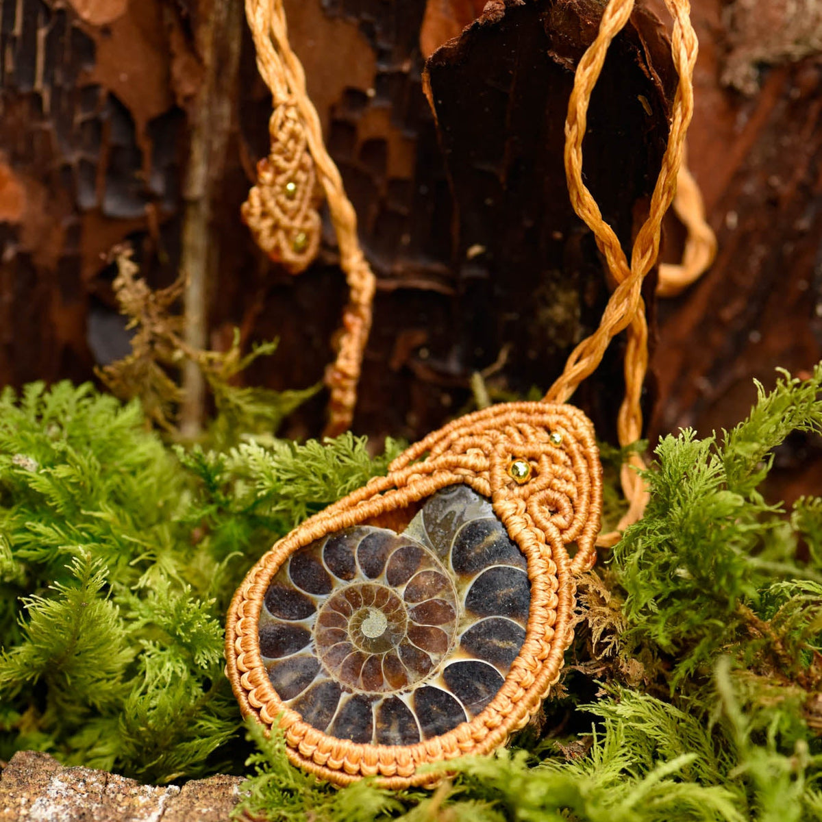 Heilstein, Schmuck, braune geflochtene Kette mit Ammonit, alternative Methoden