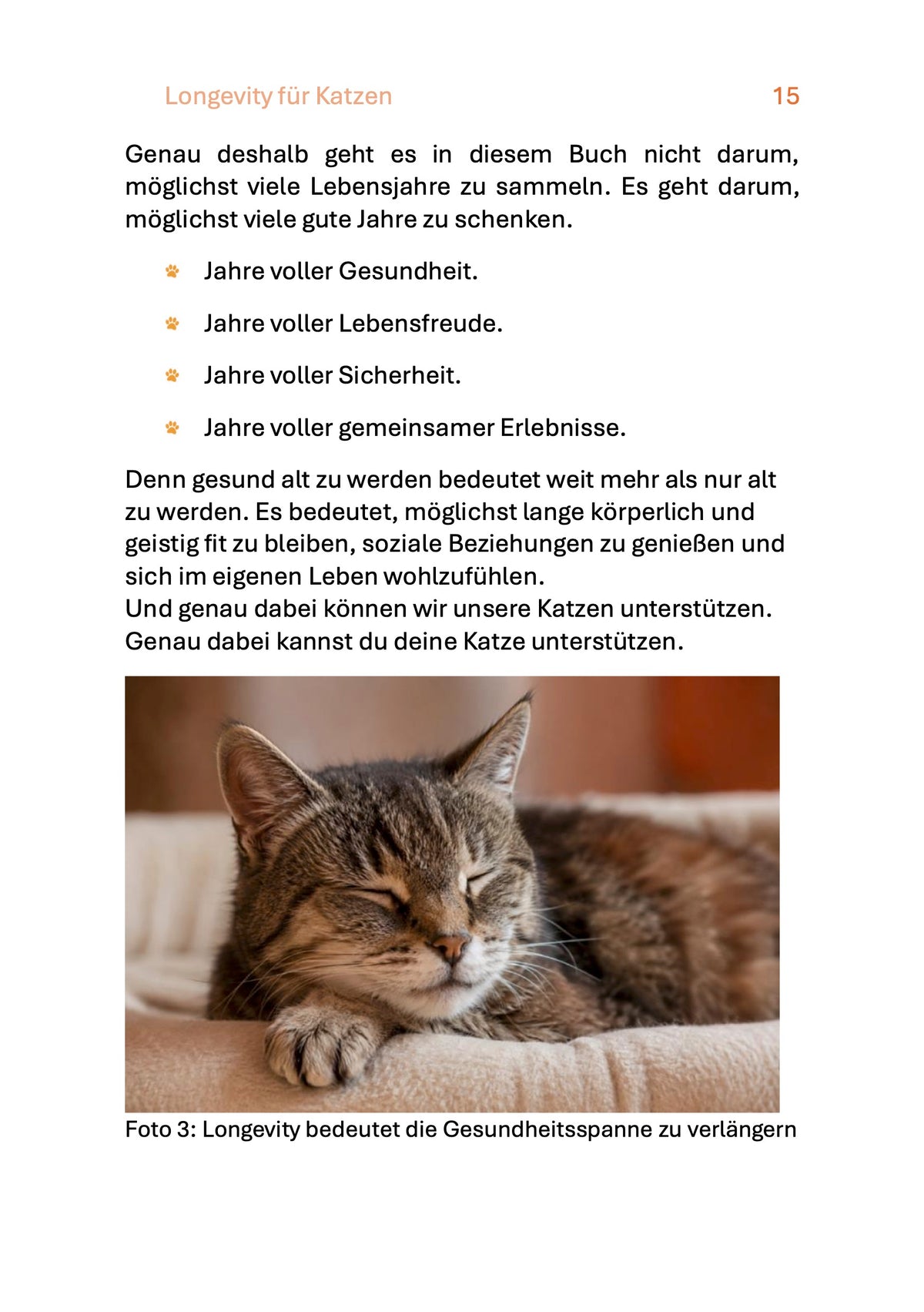 alte Katze Longevity fuer Katzen