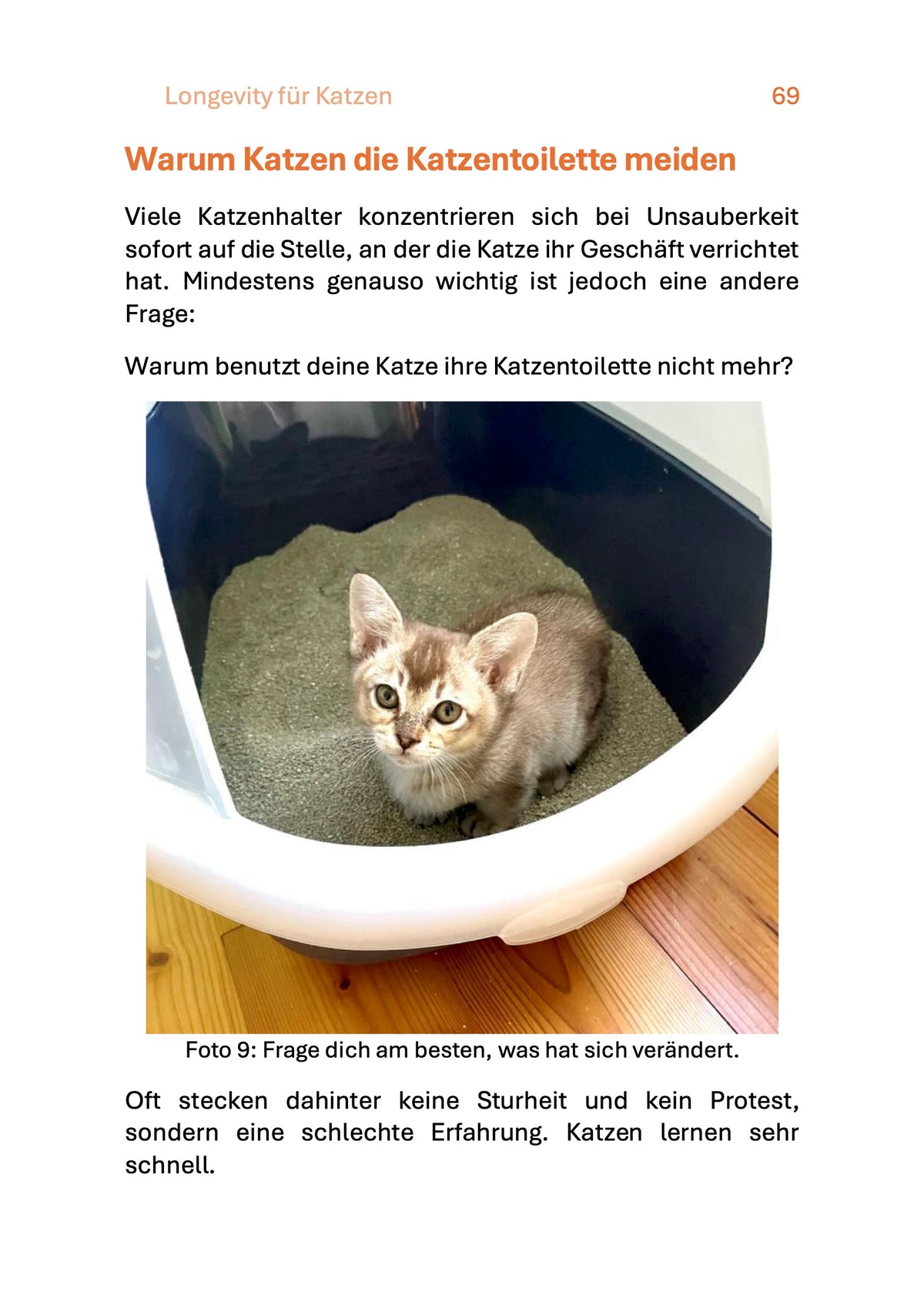 Katzentoilette meiden Longevity fuer Katzen
