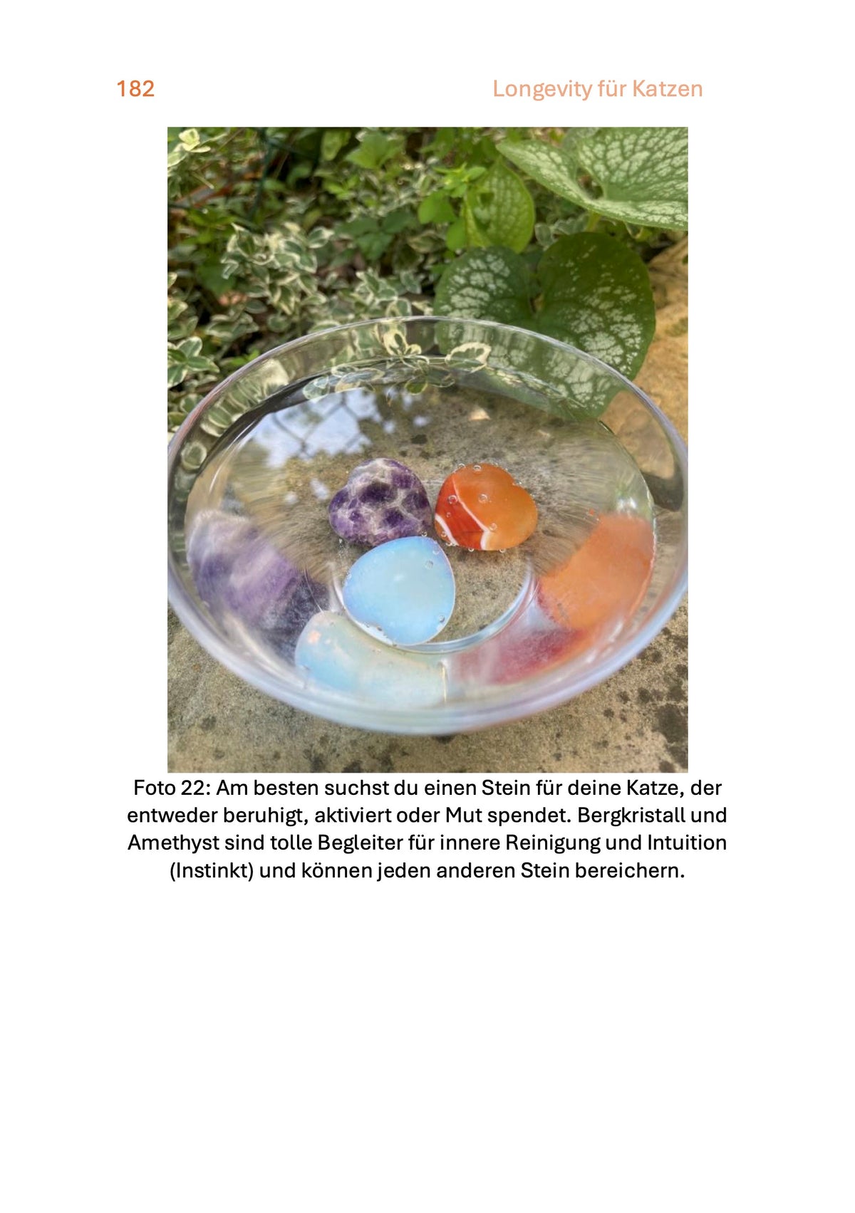 Heilstein-Wasser Longevity fuer Katzen
