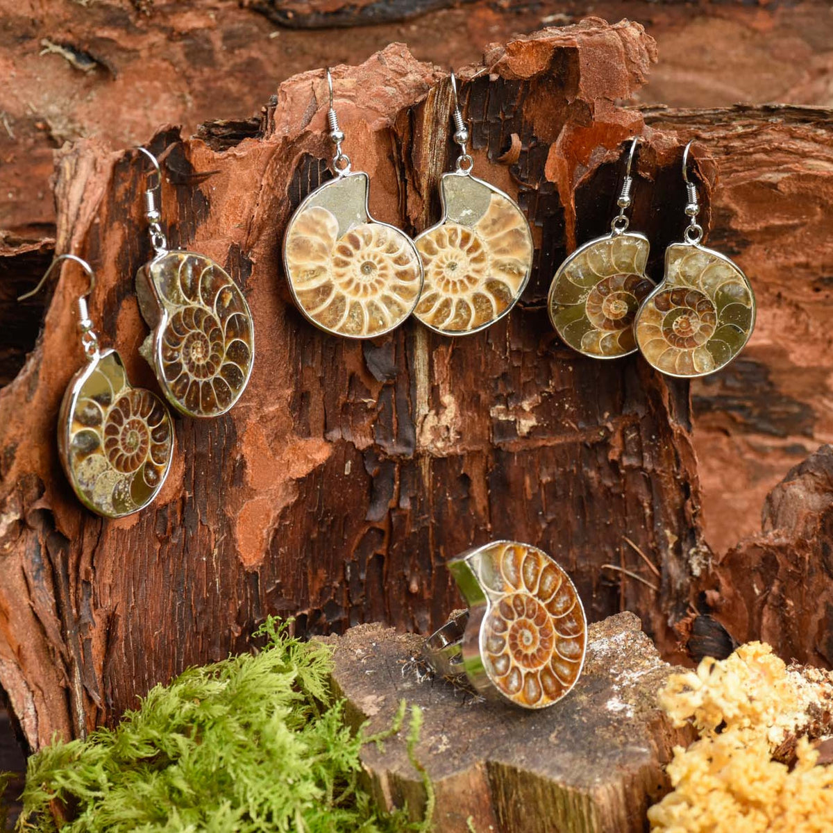 Ohrringe, Haken mit Ammonit Schnecke, silbern eingefasst, alternative Methoden, Steinschmuck