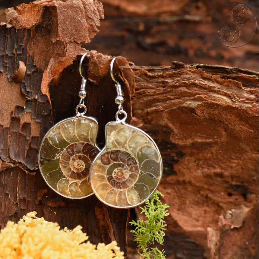 Ohrringe, Haken mit Ammonit Schnecke, silbern eingefasst, alternative Methoden, Steinschmuck