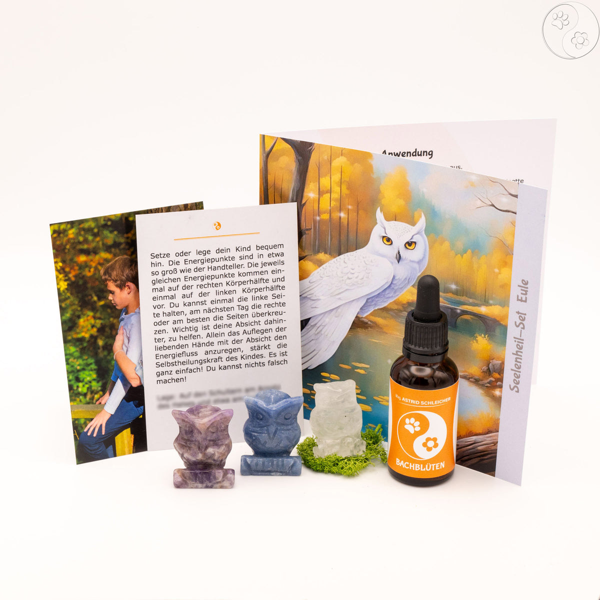 Seelenheil-Set Eule Schuleintritt