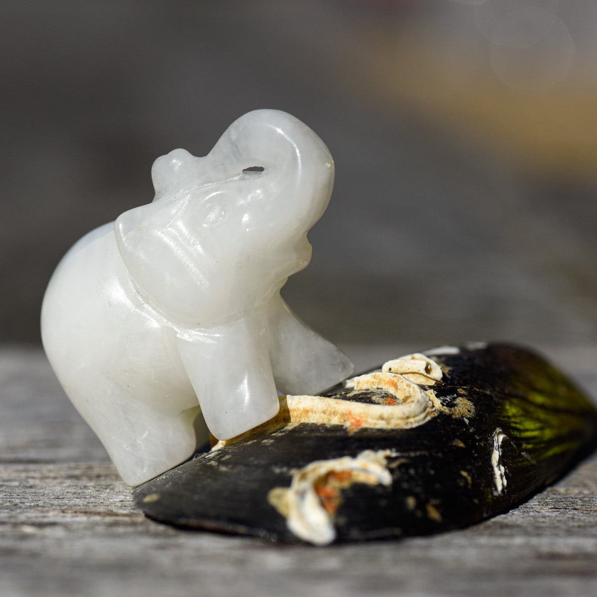 weiße Jade Elefant